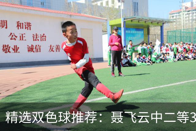 精选双色球推荐：聂飞云中二等386万 10人中5+1